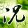 男童撞上高温红油锅